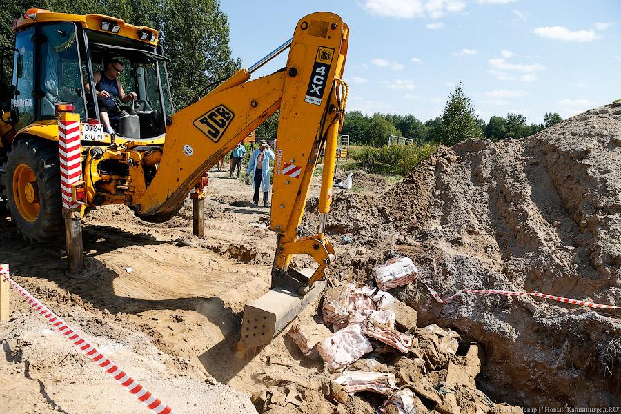 Похороны сала: как под Калининградом санкционную еду уничтожали