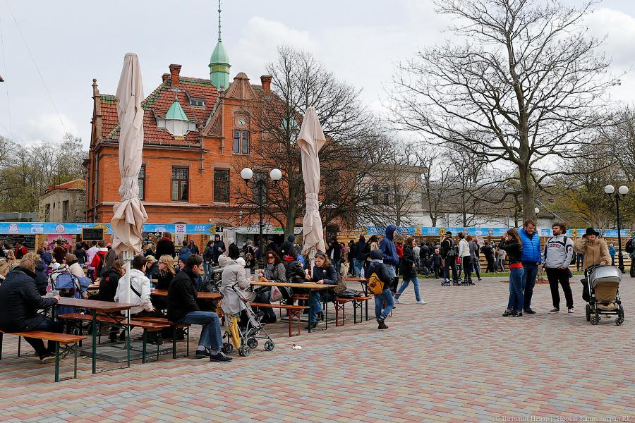 Три рыбных дня было у меня: как прошел рыбный фестиваль в Зеленоградске