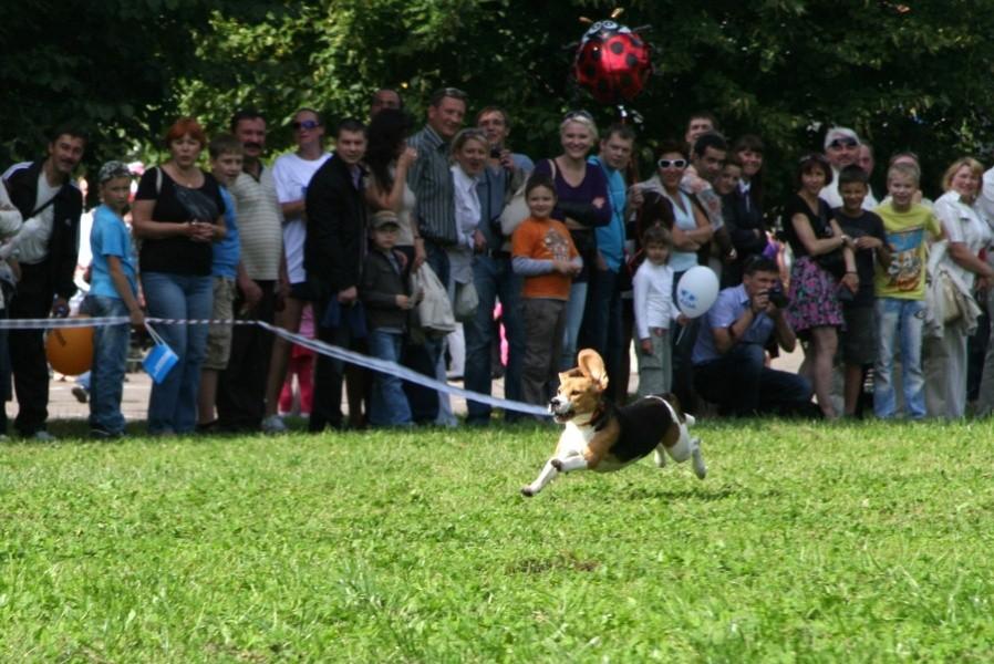 "Дальше, выше, сильнее!": фоторепортаж "Нового Калининграда.Ru"