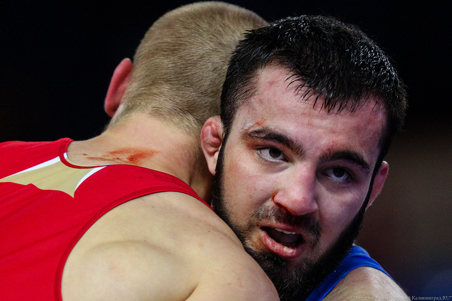Просто мощь: чемпионат России по греко-римской борьбе идет в Калининграде (фото)