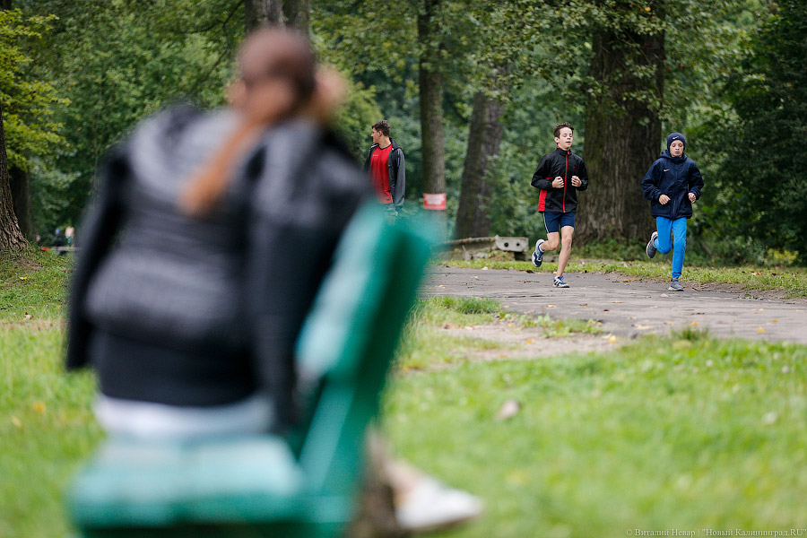 Все бежали, и я побежал: как прошел «Кросс наций» в Калининграде (фото)