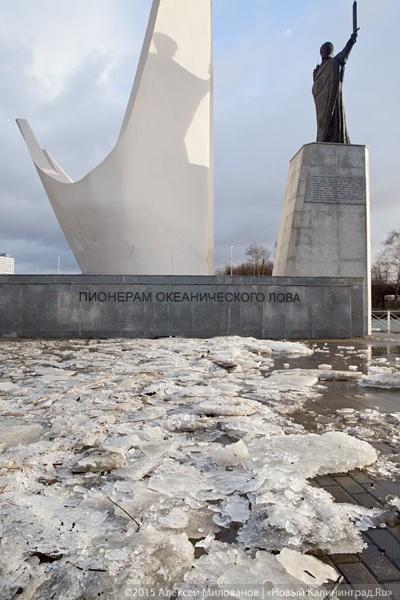 Летающий цирк: последствия урагана в Калининграде (фото)