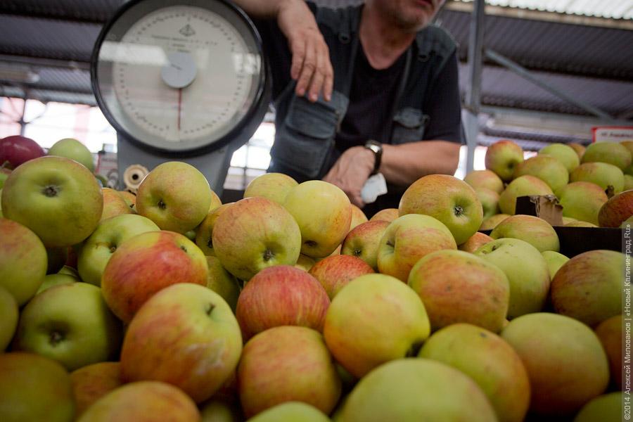«Паники никакой нет»: что происходит с ценами на овощи и фрукты на рынке Калининграда