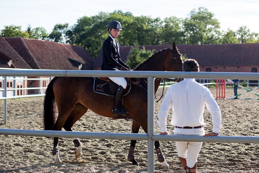 «Кубок президента РФ для немцев»: фоторепортаж с турнира по конкуру в Георгенбурге