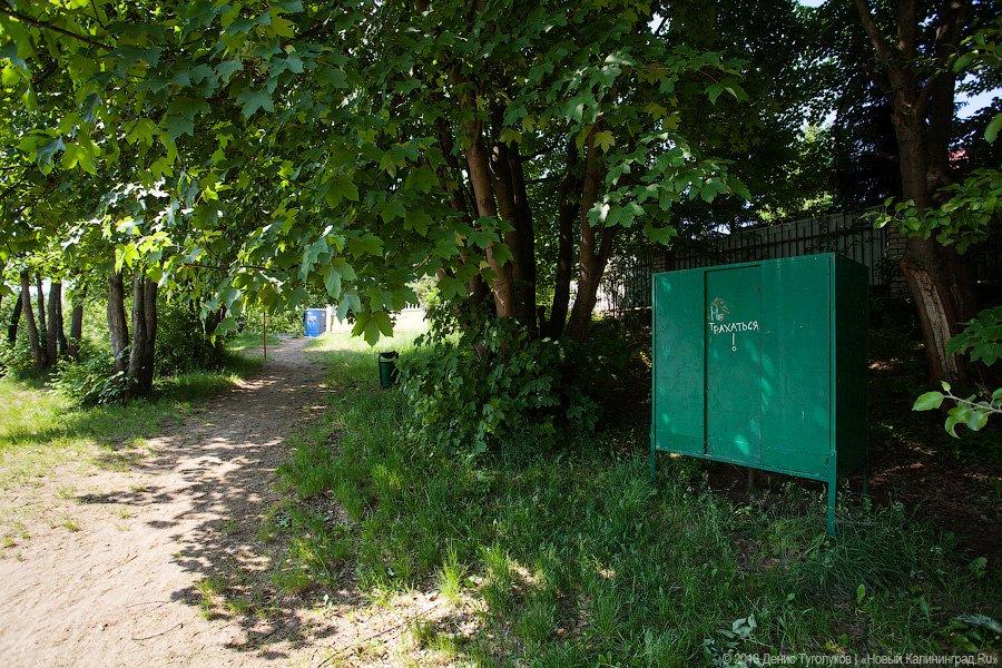 Без козы и двери: обзор городских пляжей Калининграда