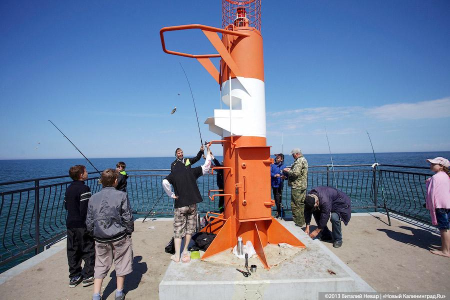 Дикие пляжи. Продолжение: Пионерский накануне курортного сезона