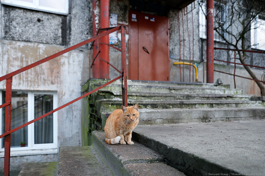 Эдик варит «крокодил»: каково жить в доме с наркопритоном
