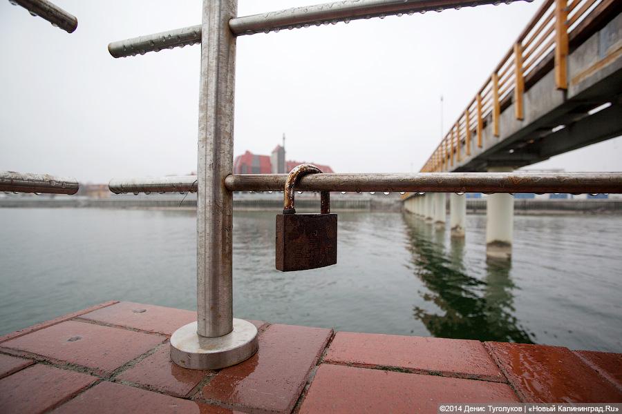 «Жим сидя, коты и обломки»: променад в Зеленоградске в туристическое межсезонье