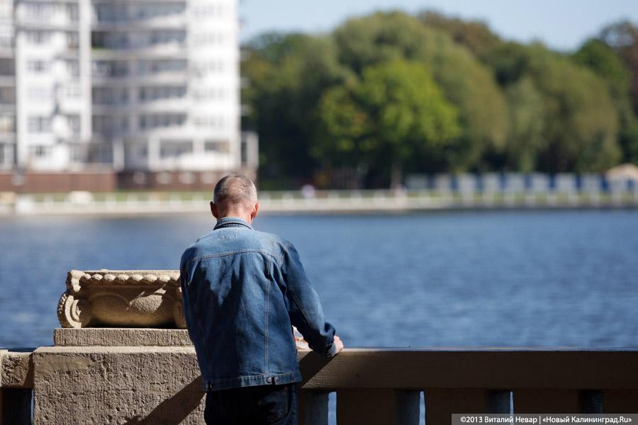 Питерские реставраторы: скульптуры морских котиков на Верхнем озере могут быть потеряны (фото)