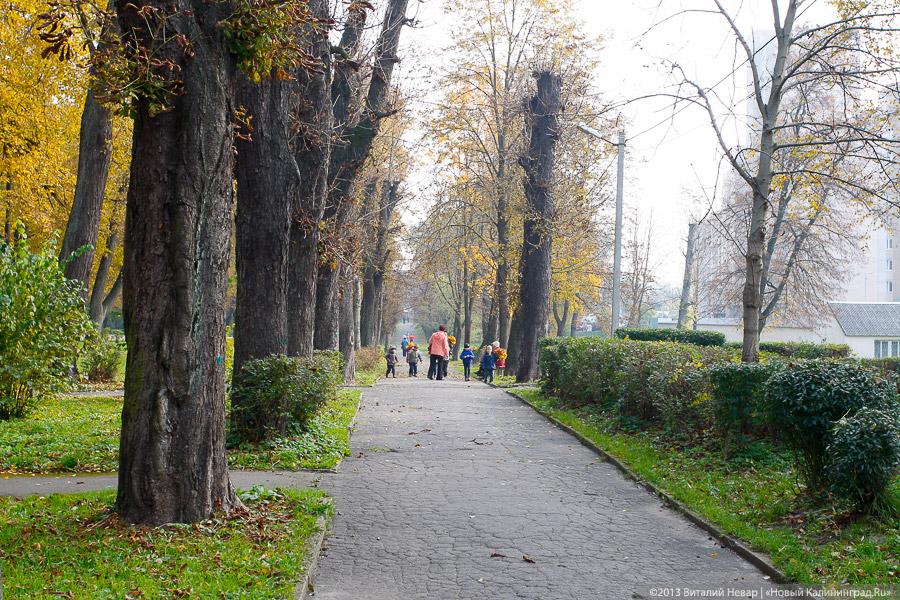 Днём совсем не страшно: осенний Балтийский парк