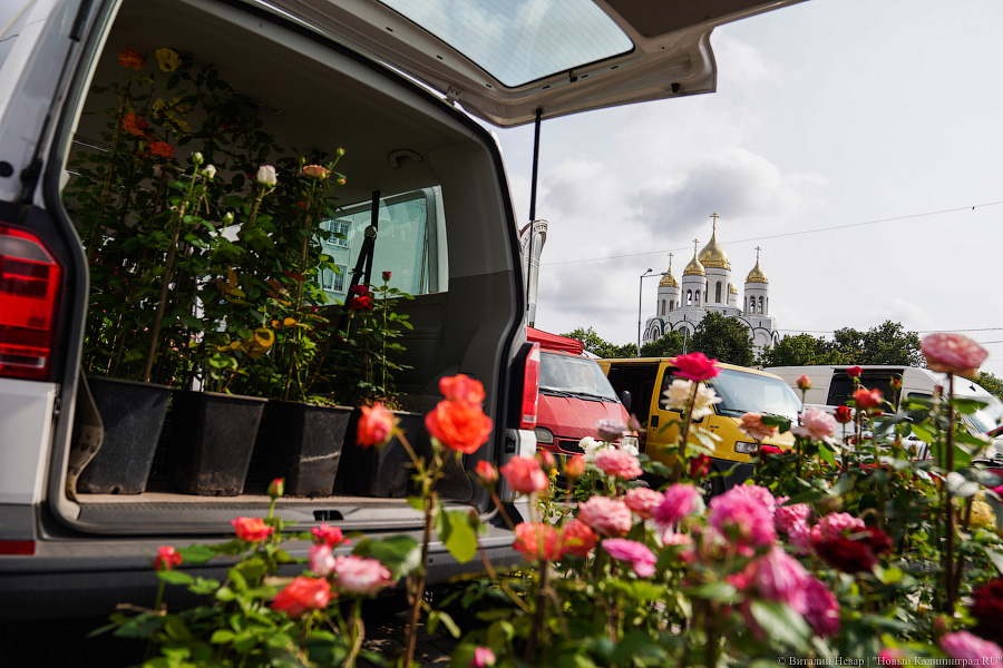 Базар-вокзал: как проходит сельхозярмарка на площади Победы в Калининграде