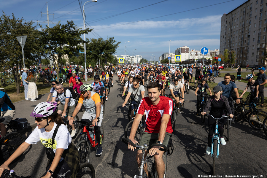 До моря на двух колёсах: в Калининграде проходит велопробег «Тур-де-Кранц» (фото)