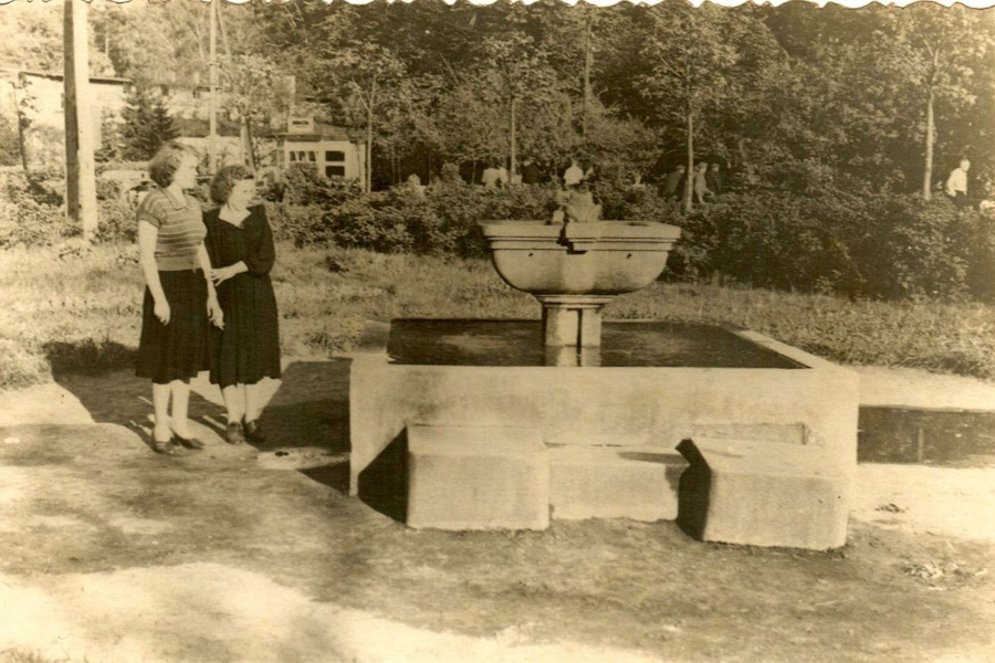 В Светлогорске планируют благоустроить сквер у Тихого озера за 33 млн рублей