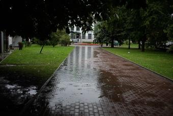 Синоптики обещают на выходные и будущую неделю прохладную погоду без осадков