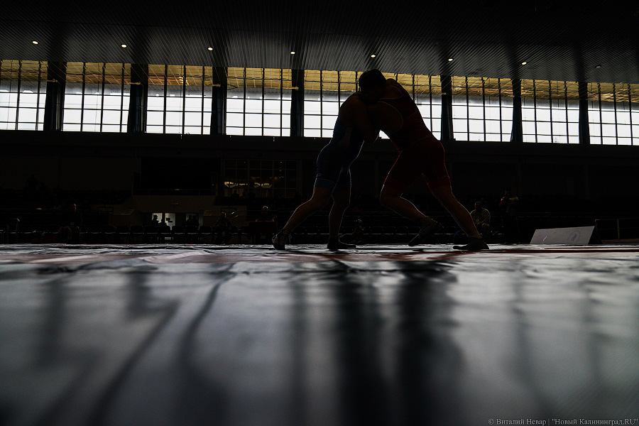 Крючки, узлы, обвивы: в Калининграде проходит чемпионат России по борьбе спорта глухих