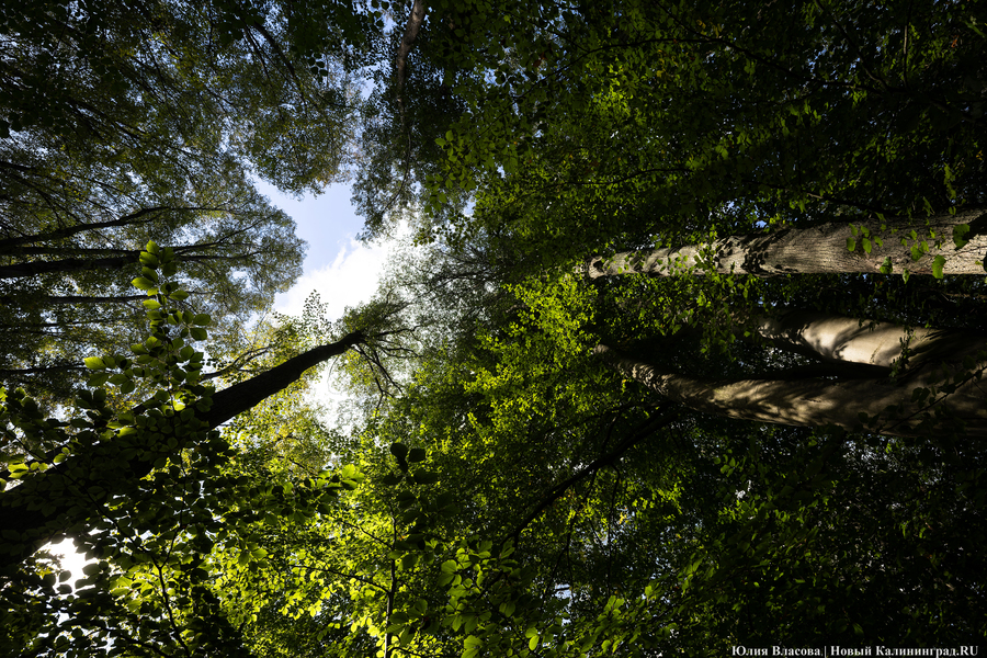 Они пошли: фоторепортаж с открытия «тихой охоты» в Калининградской области (фото)