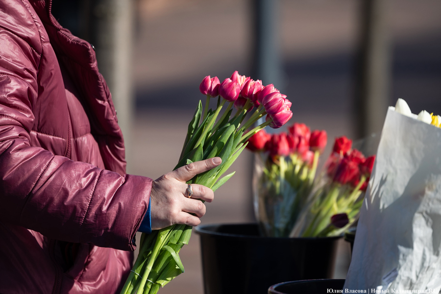 Цветочные баррикады: как выглядят улицы Калининграда 8 марта (фото)