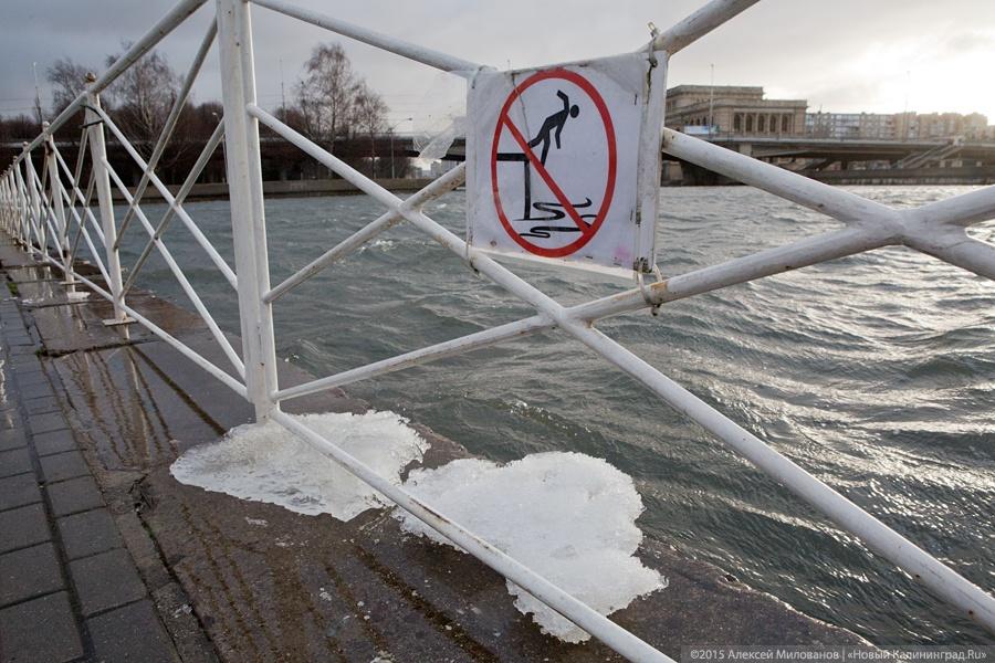 Летающий цирк: последствия урагана в Калининграде (фото)