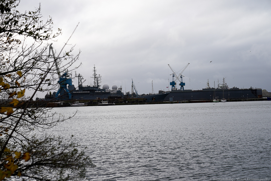 Ты не пройдешь: Балтфлот продезинфицировал от коронавируса 33-ий судоремзавод (фото)