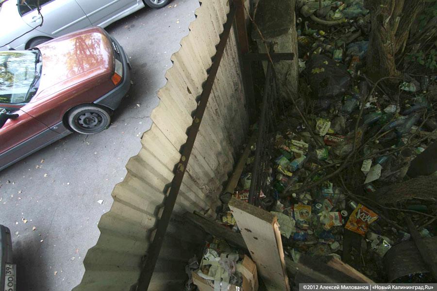 «Куда ушли детские сады»: фоторепортаж «Нового Калининграда.Ru»