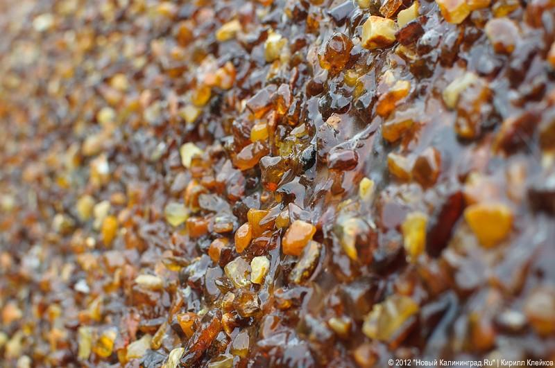 «Янтарная пирамида и незолотые прииски»: фоторепортаж «Нового Калининграда.Ru»