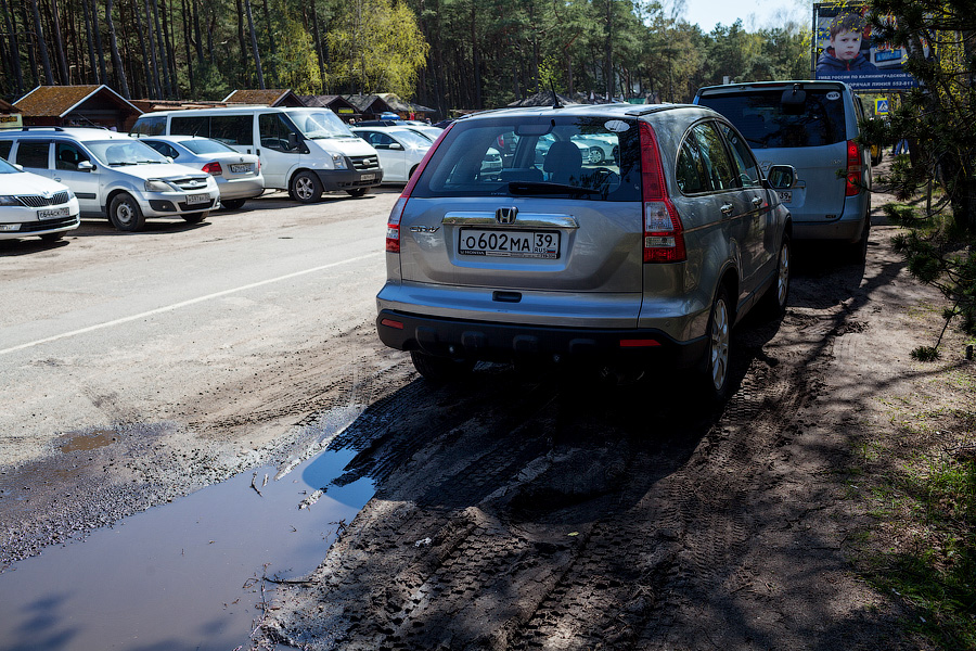 «Надо что-то делать, это нереально»: Куршская коса едва справляется с турпотоком