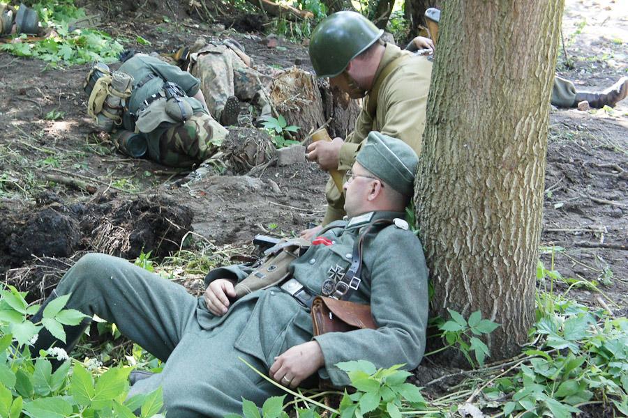 "Дерево войны и мира": фоторепортаж "Нового Калининграда.Ru"