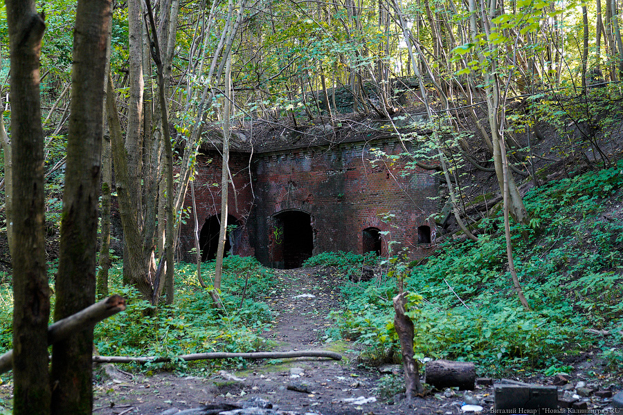 Арендатор форта №8: мы оставим его разрушенным (фото)