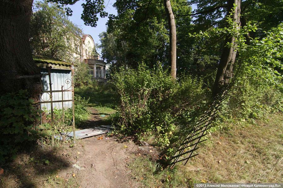 «Куда ушли детские сады. Продолжение»: фоторепортаж «Нового Калининграда.Ru» 