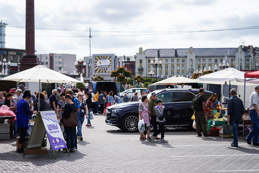 Базар-вокзал: как проходит сельхозярмарка на площади Победы в Калининграде