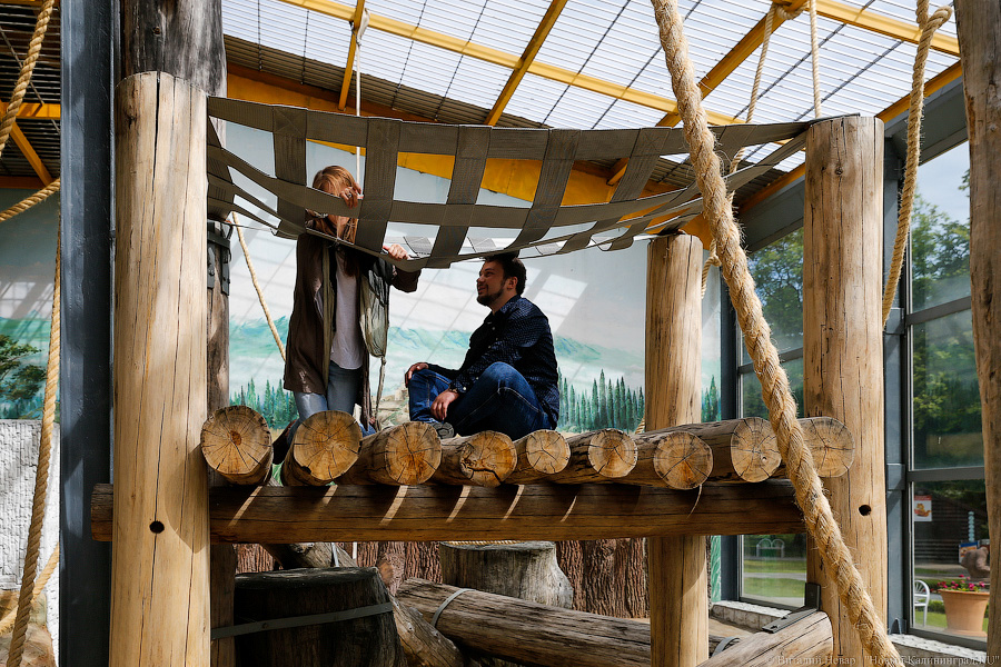 За стеклом: как живется в вольере для орангутанов Калининградского зоопарка