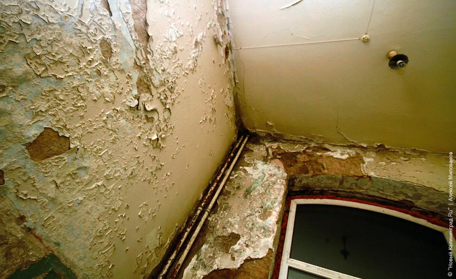 "Неизменная космическая чистота": фоторепортаж "Нового Калининграда.Ru"