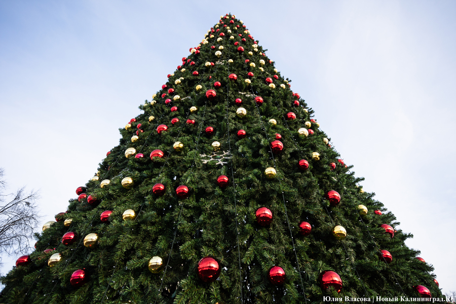6 декабря: на площади Победы установили новогоднюю ёлку
