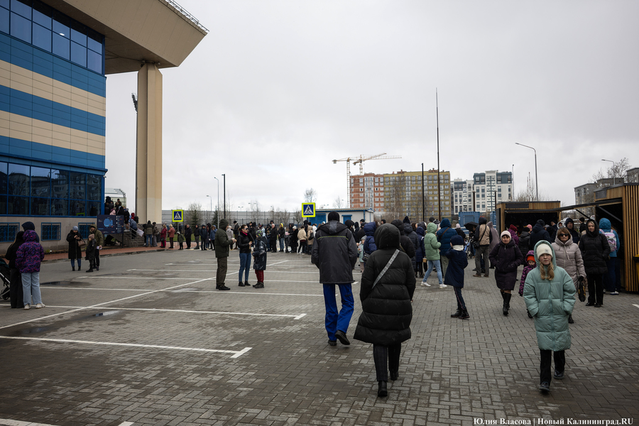 Один на ринге: как проходило голосование в Калининградской области (фото)