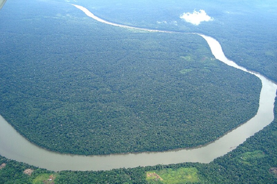 40 дней в джунглях: в Колумбии нашли четверых детей, выживших после авиакатастрофы