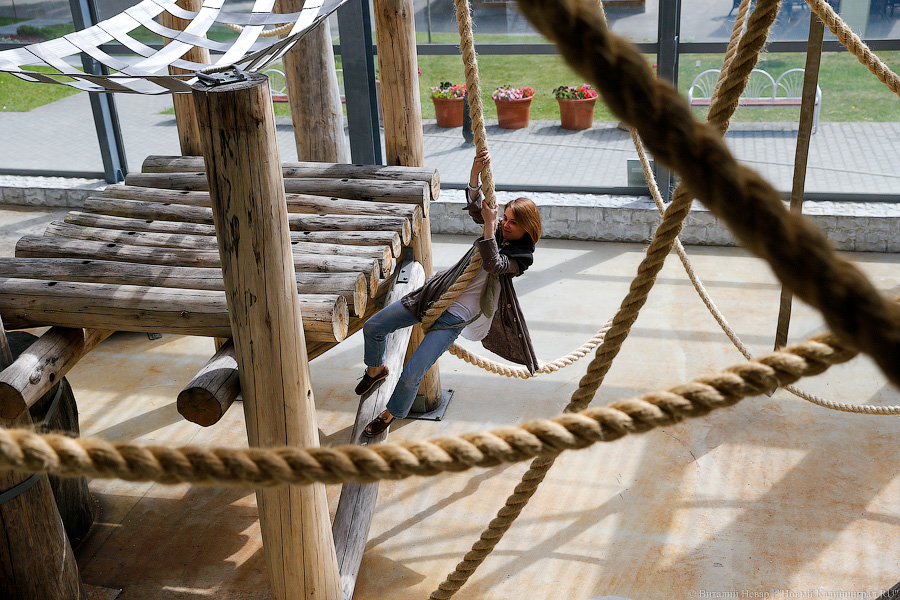 За стеклом: как живется в вольере для орангутанов Калининградского зоопарка