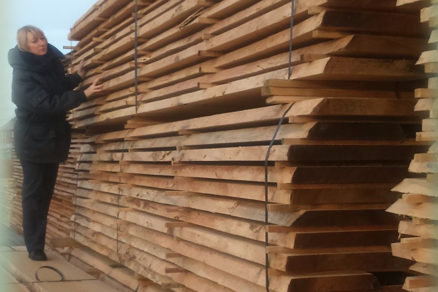 С начала года в регион ввезли 12 тысяч кубометров импортной древесины