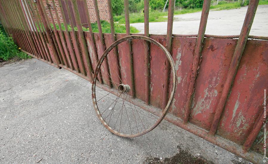 "Пустые дома: пивзавод в Железнодорожном": фотопроект "Нового Калининграда.Ru"