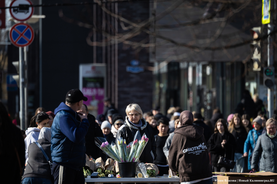 Мимозно-тюльпанный ажиотаж: Калининград накрыла традиционная цветочная лихорадка (фото)