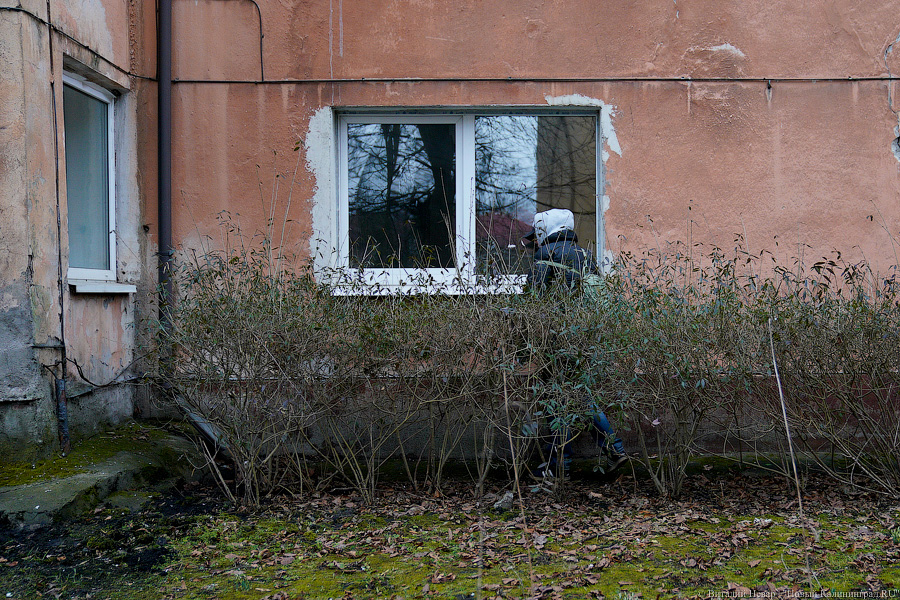 Теория целых окон: волонтеры пытаются спасти здание на Расковой с помощью уборки (фото)