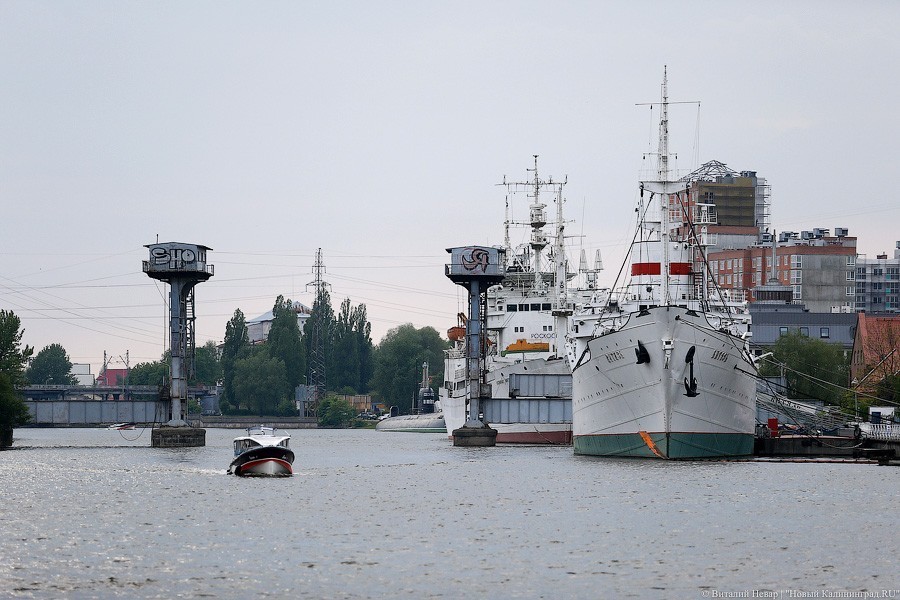 Виталий Невар / Новый Калининград