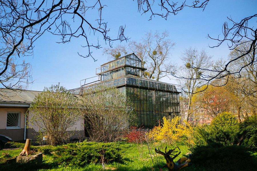 Пастораль ручной работы: весенний Ботанический сад