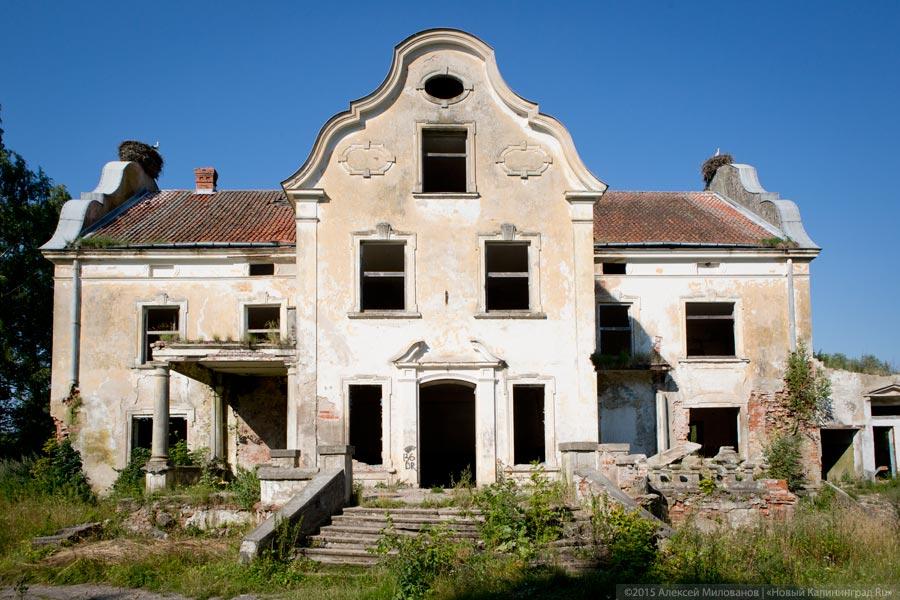 Алексей Милованов / Новый Калининград