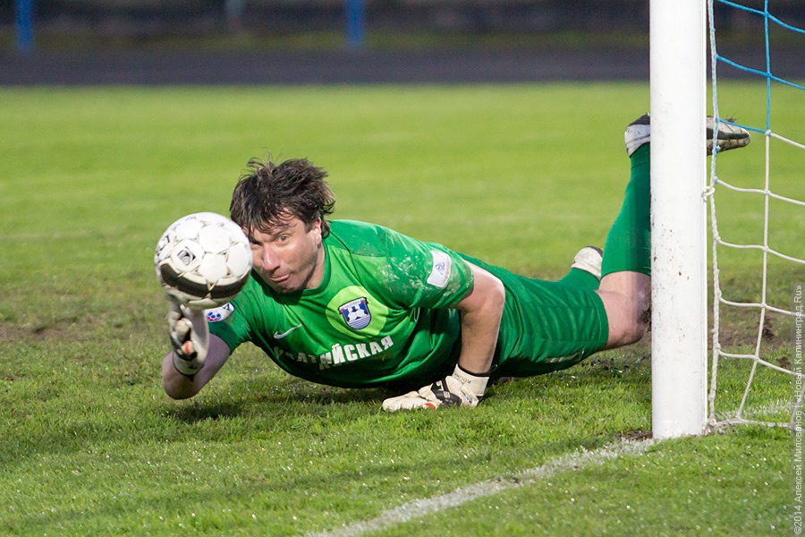 Минспорта обещает заплатить российским футболистам за победу в Кубке конфедераций