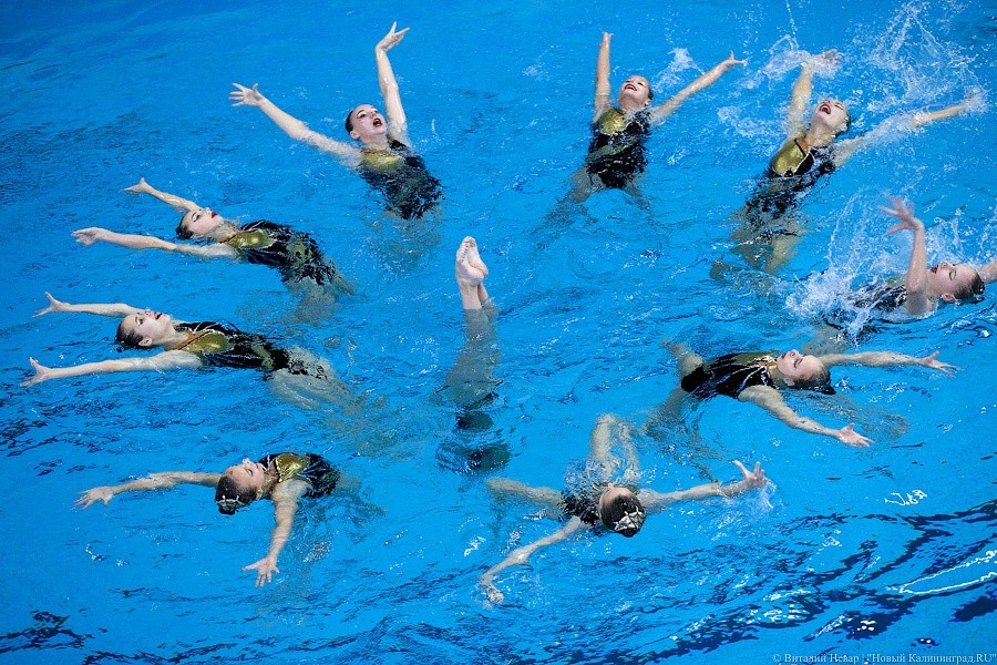 В Калининграде впервые проходит чемпионат СЗФО по синхронному плаванию