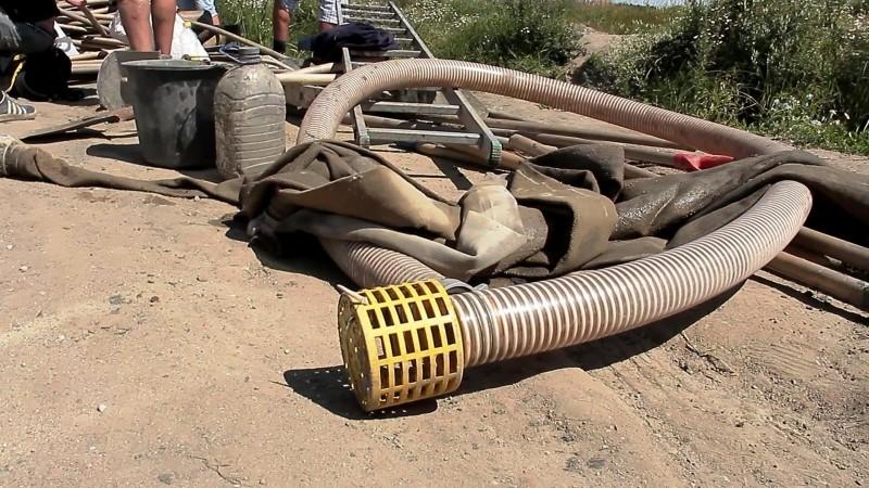 Под Зеленоградском полиция задержала 29 «черных копателей» янтаря (фото)