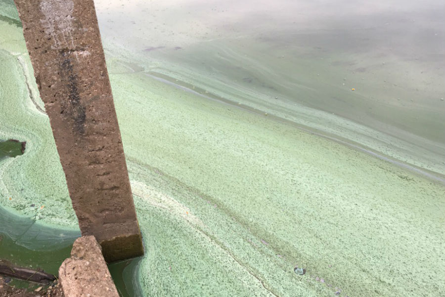  В озере Шенфлиз содержание нефтепродуктов превысило норму в 780 раз