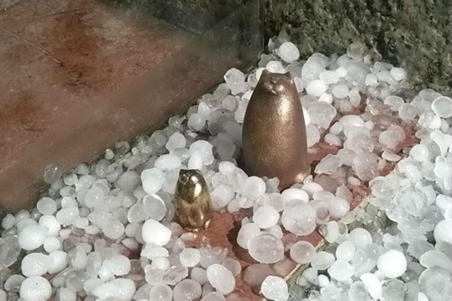 Хляби небесные: крупный град глазами читателей «Нового Калининграда.Ru»