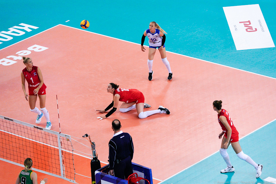 Сборная и 3 сильнейших клуба: волейбольный турнир на Кубок губернатора в «Янтарном»