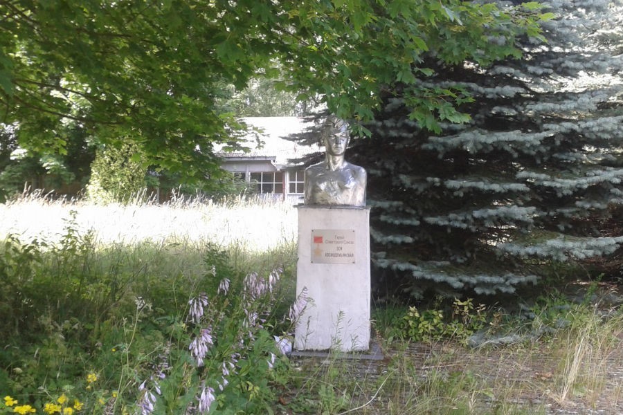 Власти выделяют 95 млн на проект детского лагеря в Светлогорске